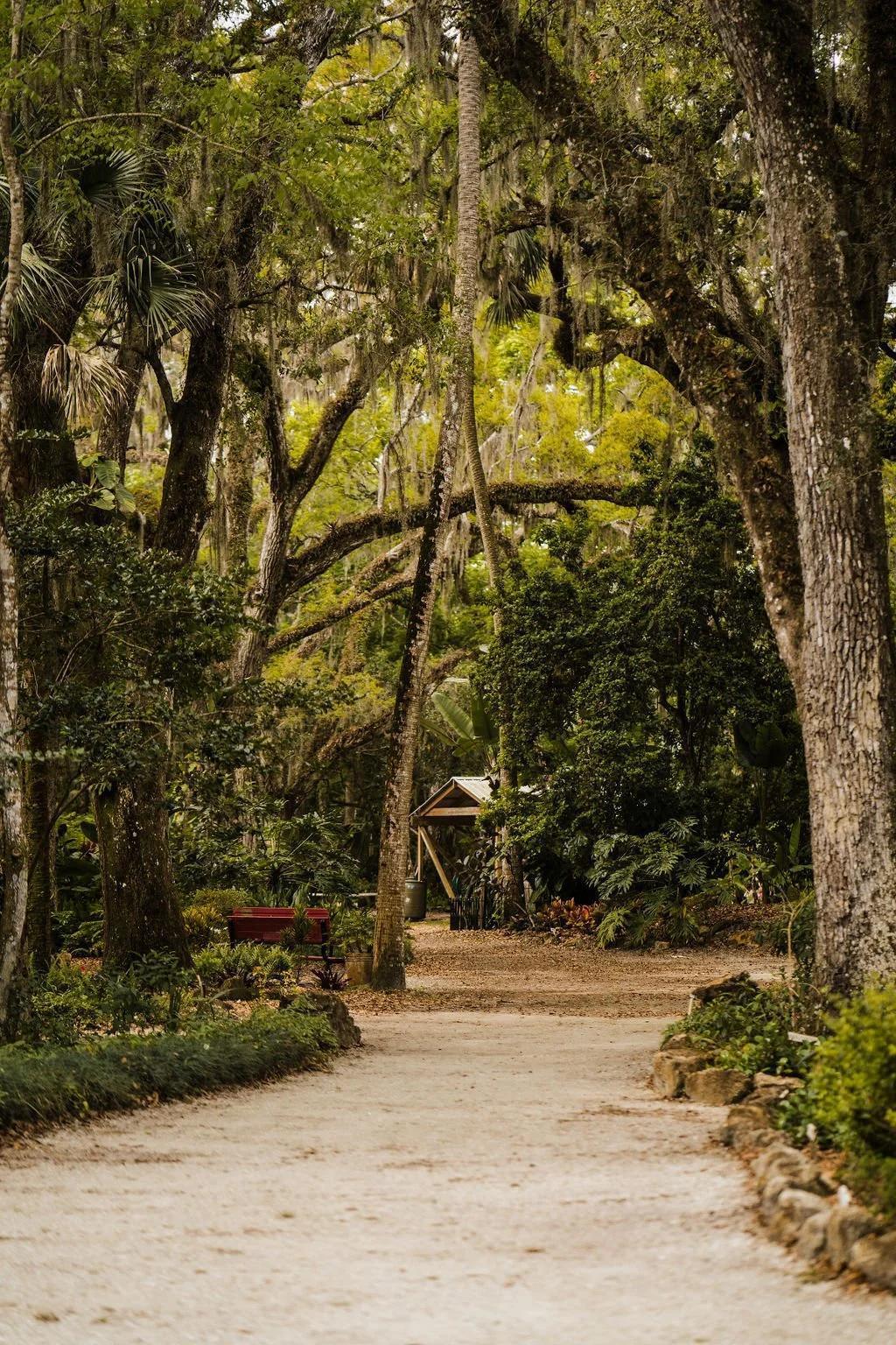 Dunlawton Sugar Mill Gardens